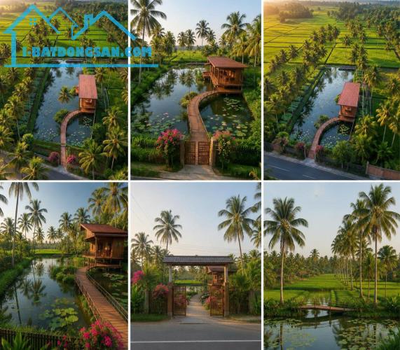 BÁN ĐẤT,THỔ CƯ, MẶT SÔNG, ĐƯỜNG Ô TÔ, 1000M2 100M2 THỔ,NGAY CHỢ,ĐỒNG THÁP