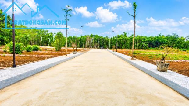 Mua bán đất thổ cư giá rẻ tại cửa tùng