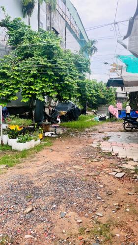 Mặt Tiền Phan Văn Đối Bà Điểm giá chỉ 42 triệu m2.