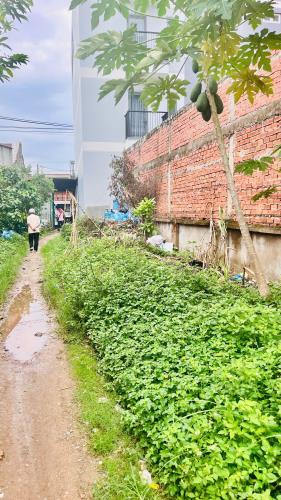Mặt Tiền Phan Văn Đối Bà Điểm giá chỉ 42 triệu m2.