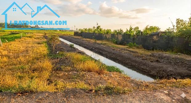 Miếng đất vườn 800m2 , ngay sau lưng tiệm cơm - tạp hoá Đỗ Trang, đường Trung Lập, Củ Chi