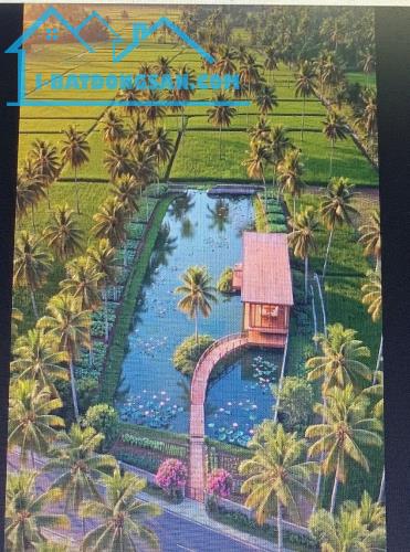 ĐẤT ĐẤT,GIÁ MỀM, GẦN CHỢ ĐẤT SÉT,XE CÔNG TỚI ĐẤT,1000M2 – 19M MẶT TIỀN