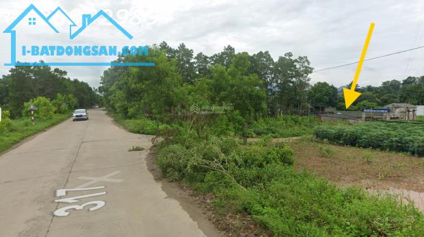 Cặp đất thổ cư liền kề 390,5m² mặt tiền 12m, sát chợ, ĐT317, Cổng Kho, Tu Vũ, Thanh Thủy