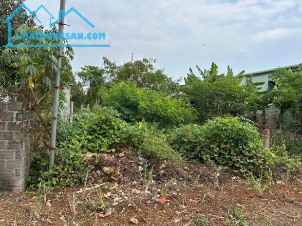 Bán đất đồi thông ( hẻm Nhà Hàng Xưa Đồi Thông)