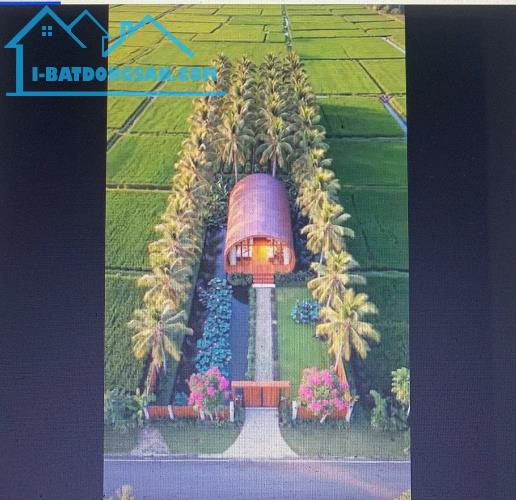 BÁN ĐẤT,ĐƯỜNG Ô TÔ,TỈNH LỘ 849 GẦN 1.000M² ĐẤT DÂN CƯ – NGAY CHỢ ,ĐỒNG THÁP