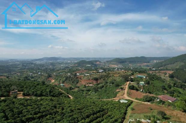 BÁN LÔ ĐẤT VỊ TRÍ ĐẸP NHẤT KQH VIỆN NGHIÊN CỨU HẠT NHÂN (MẶT TIỀN HÙNG VƯƠNG)