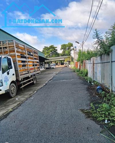 X135 chuyển nhượng nhà xưởng, lò mổ gia cầm tại Trảng Bom, pháp lý đầy đủ