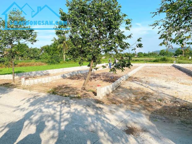 🚨 680 TRIỆU MUA ĐƯỢC GÌ Ở KIM TRÀ? 🚨