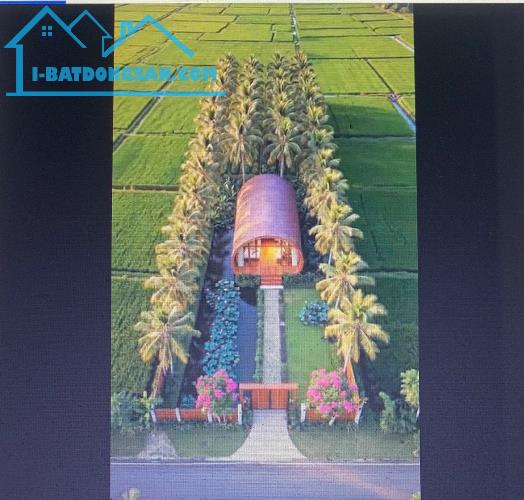 BÁN ĐẤT,HIẾM CÓ-MẶT TIỀN 19M-1000M2-ĐƯỜNG Ô TÔ – GẦN CHỢ ĐẤT SÉT – GIÁ DỄ TIẾP CẬN
