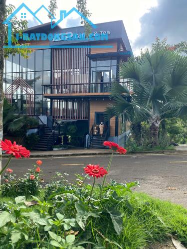 🏞️ **499m² Đất View Hồ Giữa Lòng Bảo Lộc – Phường 2, Sổ Riêng Thổ Cư**