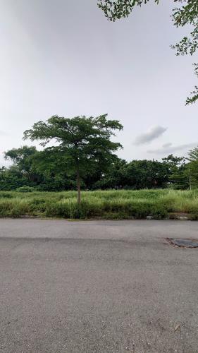BÁN GẤP LÔ ĐẤT ĐẸP KDT VĨNH YÊN CENTER CITY ĐỒNG TÂM, VĨNH YÊN DT100M MT5M GIÁ CHỈ 2,1 TỶ
