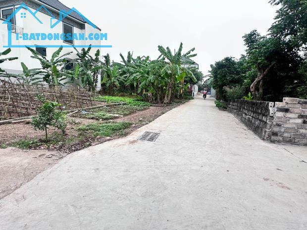 BÁN ĐẤT THÔN THƯỢNG,XÃ AN VĨ,KHOÁI CHÂU HƯNG YÊN Diện tích:59m²