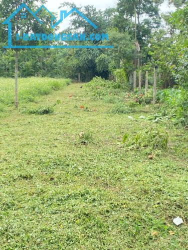 BÁN ĐẤT,ĐƯỜNG Ô TÔ,CHỈ MỘT LÔ DUY NHẤT – MẶT TIỀN 19M – GẦN CHỢ ĐẤT SÉT – GIÁ CỰC KỲ CẠNH