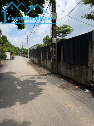 Bán lô 2000m2, mặt tiền 68m Hoàng Đan, Tam Dương lh_0987673102