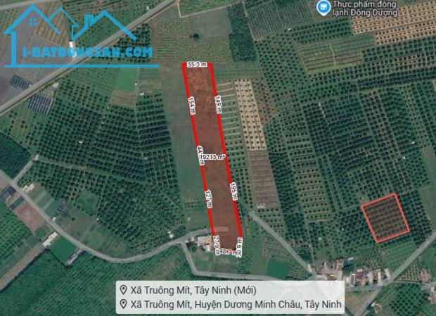 [L2682*] 1.8Ha Đất Trồng Sầu Riêng Sát Chợ Truông Mít - Giá 5.x Tỷ