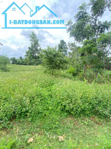 BÁN ĐẤT GẦN 1.000M² – MẶT TIỀN 19M – ĐƯỜNG Ô TÔ TỚI ĐẤT – GẦN CHỢ ĐẤT SÉT – GIÁ TỐT