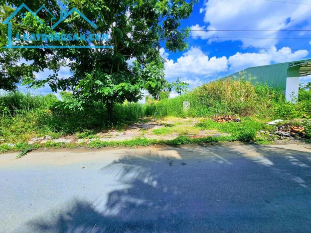 🍒🍒🍒Bán nền sổ hồng 120m² đường A1 KDC Phú An, phường Hưng Phú, TP. Cần Thơ, 2,9 tỷ