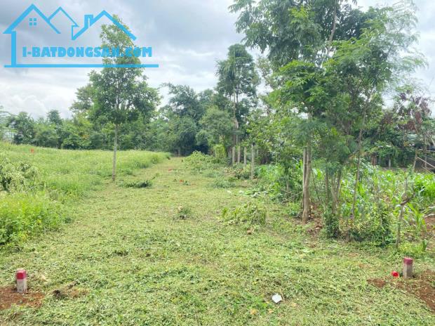 BÁN ĐẤT ĐẸP,ĐƯỜNG Ô TÔ, GẦN 1.000M² – MẶT TIỀN RỘNG 19M – GẦN CHỢ ĐẤT SÉT – GIÁ HẤP DẪN