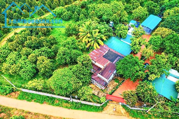 Đồng Nai bán farm rộng 2,5ha đủ tiện nghi sẵn thu nhập cách QL 20 11km giá 22,5ty