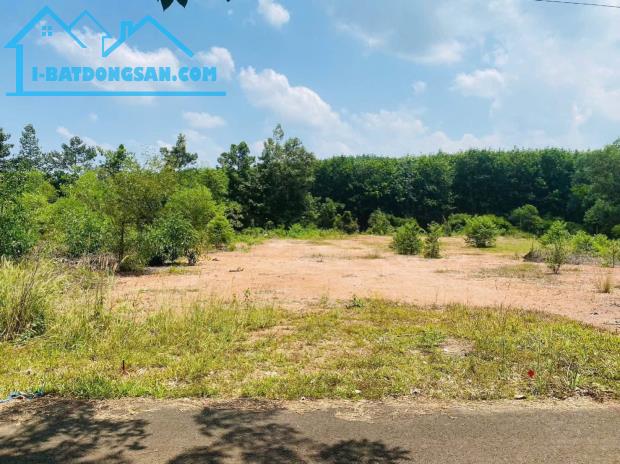 Bán 2 sào đất 2 000m2 có shr dân đông gần tỉnh lộ