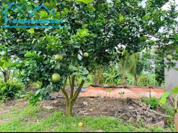 Cần bán gấp vườn bưởi TP. Đồng Nai (Đồng Phú, BP), 7200m2, 690tr