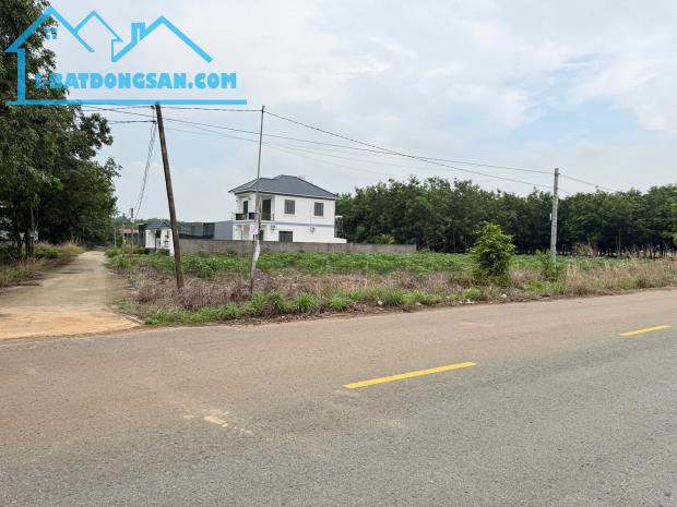 CẦN BÁN 2.500M2 ĐẤT ĐỐI DIỆN SIÊU THỊ, ĐÚNG GIÁ 180 TRIỆU, SỔ HỒNG RIÊNG