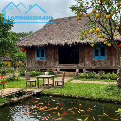 BÁN ĐẤT,GIÁ SỈ, LÔ ĐẤT, MẶT TIỀN ĐẸP,ĐƯỜNG Ô TÔ THÔNG,1000M2,NGAY CHỢ KINH THẦY LÂM