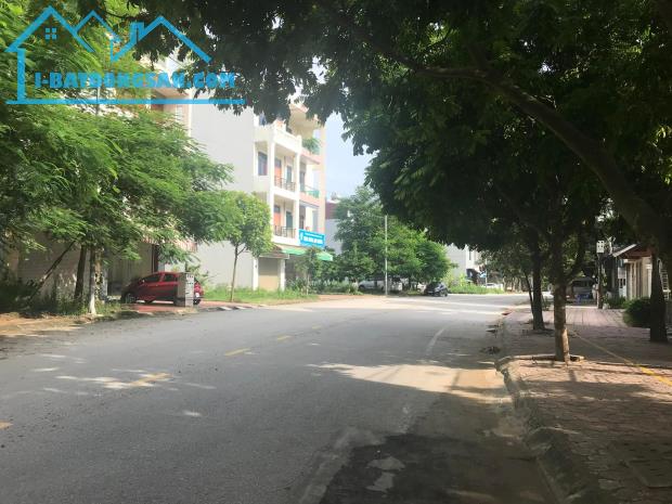 Bán đất mặt đường Trần Thánh Tông, ph Ngọc Châu, TP Hải Dương, 65.7m2, mt 4.5m, KD tốt