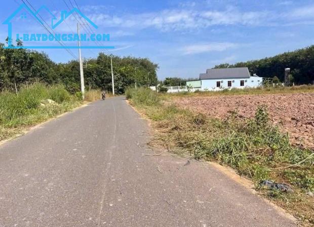 CẦN BÁN GẤP 20x50=1.000M2, SỔ SẲN, CÔNG CHỨNG NGAY, KHU DÂN ĐÔNG