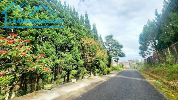 BÁN LÔ ĐẤT MẶT TIỀN HOÀNG VĂN THỤ, ĐÀ LẠT 269m2 chỉ còn 11,9 tỷ