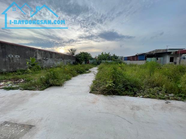 🏡 2 LÔ ĐẤT TÔ PHONG – GẦN NGUYỄN LƯƠNG BẰNG, PHÙ LIỄN, KIẾN AN – 45m² CHỈ 1TY950/LÔ
