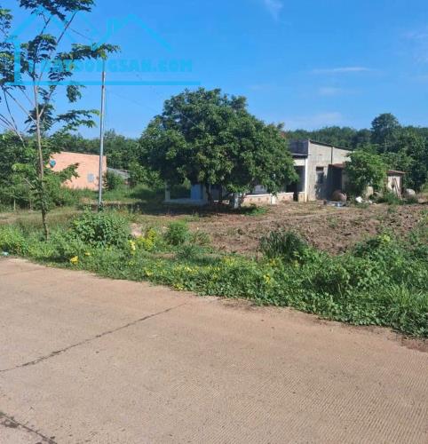 Cần bán 2.500m2 đất đối diện siêu thị đúng giá 180 triệu sổ hồng riêng
