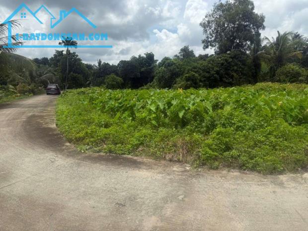Đất xã Bình Mỹ - Củ Chi ngay cầu Vàm Thầy cách TL9 chỉ 200m DT: 3868m² ,có 830m² thổ cư