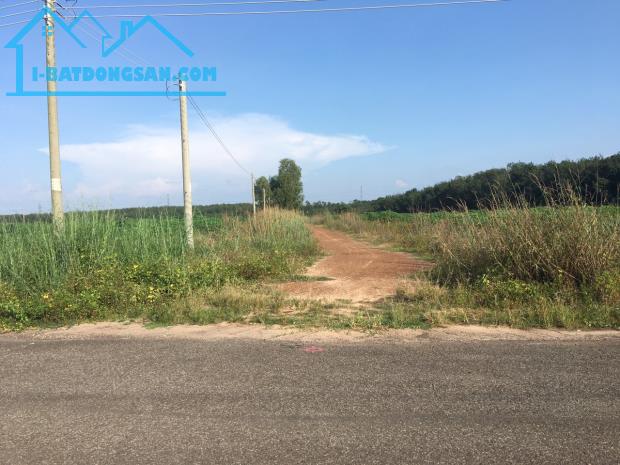 Bán 3.500m2 sổ riêng sát chợ và nhiều nhà máy hoạt động