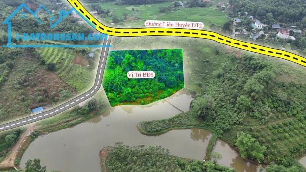 💥 CHỈ 1 LÔ DUY NHẤT! 7.000m² ĐẤT VIEW HỒ – TỰA NÚI – PHONG THỦY VƯỢNG KHÍ!