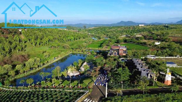 🌿 LÀNG OMM BẢO LỘC – ĐẤT NHÀ VƯỜN PHÁP LÝ RÕ RÀNG, AN TÂM SỞ HỮU