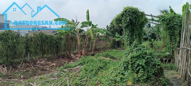 Đất hẻm ô tô thông, gần Cầu Rạch Tra, 8,5x25m, 990tr.