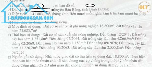 BÁN NHÀ XƯỞNG TẠI BÀU BÀNG, BÌNH DƯƠNG – 41.883m²