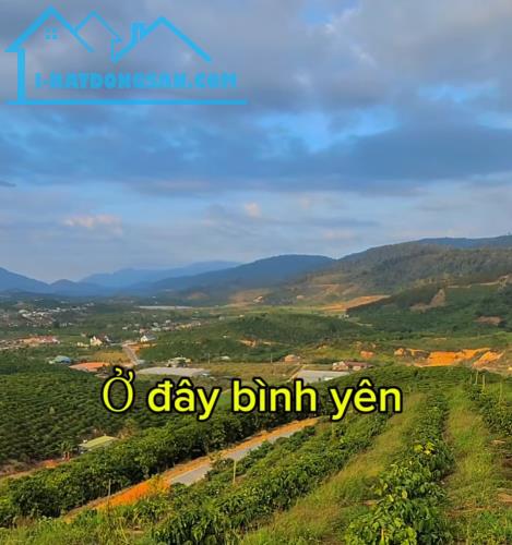 Bán đất view săn mây triệu s tại đạ knang đam Rông Lâm Đồng .....