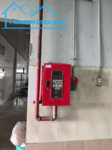 Bán kho xưởng 5000m2 mặt tiền tỉnh lộ 870 Trung An,Tiền Giang