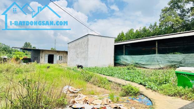 X159 bán xưởng, trại heo đang hoạt động ổn định, vị trí xa dân cư, có suối sau đất