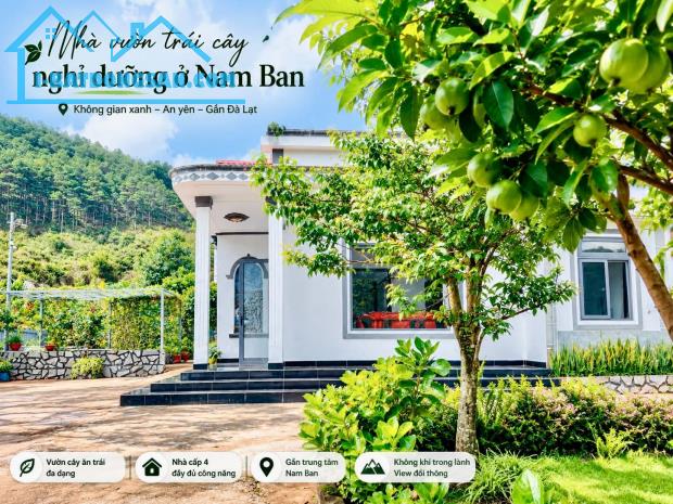 Cần Bán Nhà Đất 987m² Có Sẵn Nhà Cấp 4, Giáp Đồi Thông, Giá 4,7 Tỷ