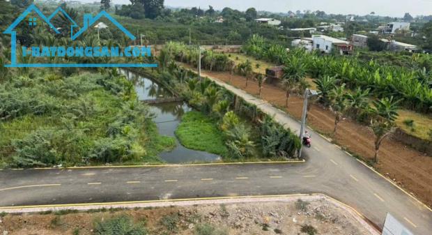 ĐẤT VEN SÔNG TÂN TRIỀU - CHÍNH CHỦ GIẢM GIÁ SÂU!