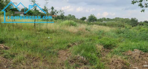 Đất Đường số 8, Long Phước – Dt 3.204m² (70 x 68m), 1.667m² thổ cư – Đường rộng 8m