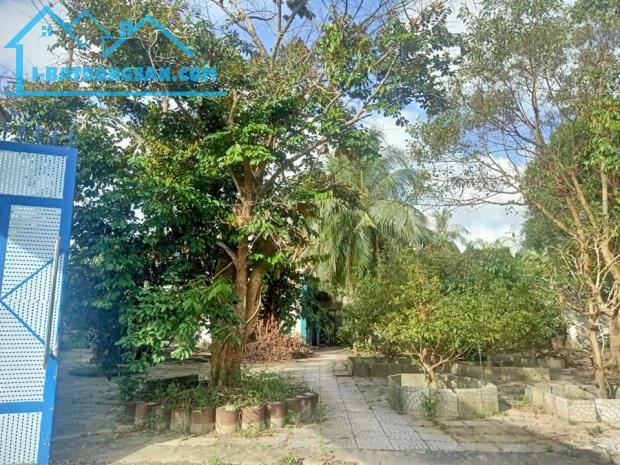 Bán gấp Mặt đường Quản Lộ Phụng Hiệp, Tân Thành, Cà Mau, 8898m, ngang 69m, chỉ 29 tỷ.