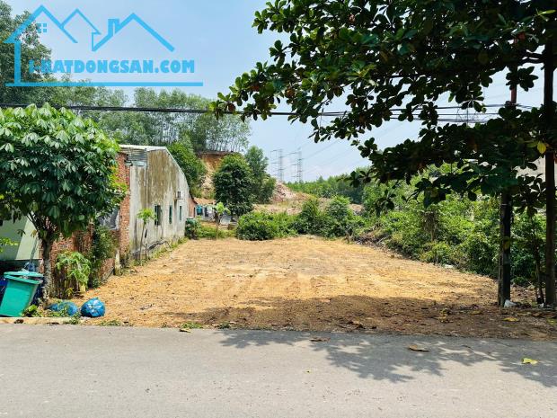 Chủ cần tiền cắt lỗ lô MT Kinh Doanh đường nhựa 10m5 Đối Diện Trường Tiểu Học Hoà Vang