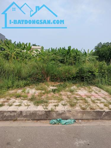 🔥 ĐẤT MẶT TIỀN ĐÔ ĐỐC LÂN – HÒA XUÂN | 100M² | ĐƯỜNG 10M5 + VỈA HÈ 5M | GIÁ CHỈ 6 TỶ!