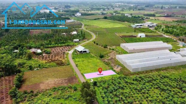 ĐẤT ĐÁ BẠC CHỈ 520TR 182M2 SỔ SẲN CÔNG CHỨNG NGAY