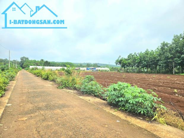CẦN BÁN GẤP 1.200M2 ĐẤT 180TR NGAY KCN GẦN CHỢ DÂN ĐÔNG