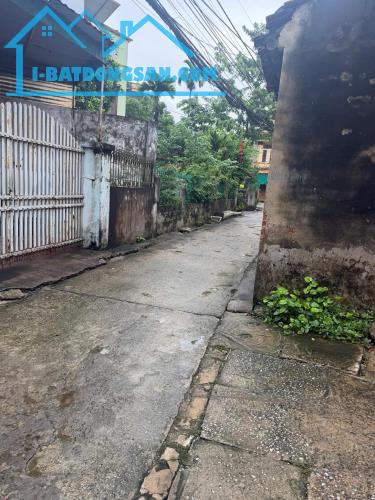 ĐẤT TÂN THỊNH DT 55M GIÁ RẺ 1,5 TỶ THÁI NGUYÊN.